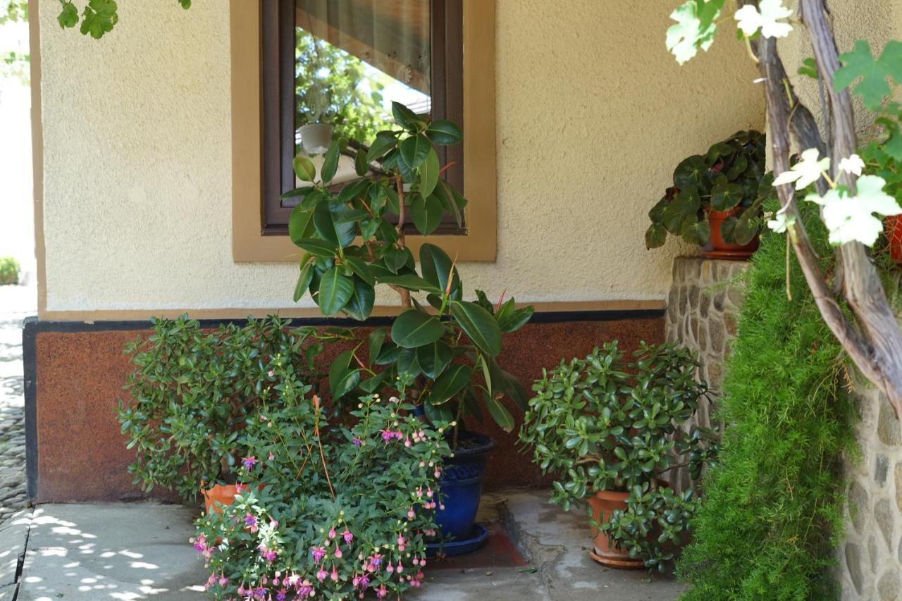 Casa Ciortea Ana Sibiel Esterno foto