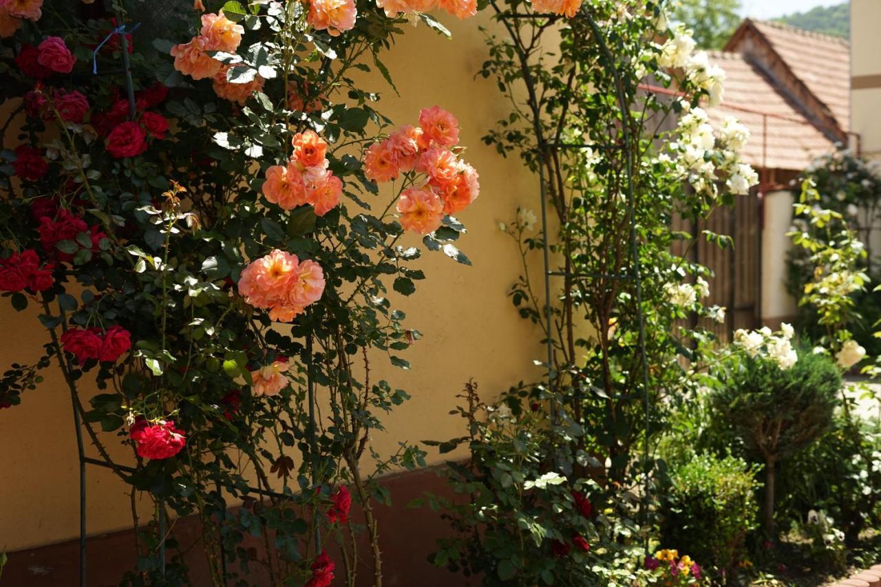 Casa Ciortea Ana Sibiel Esterno foto