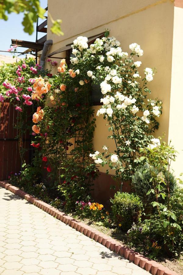 Casa Ciortea Ana Sibiel Esterno foto